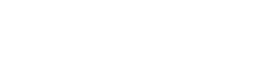 Chip Connect BW