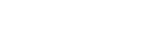Chip Connect BW